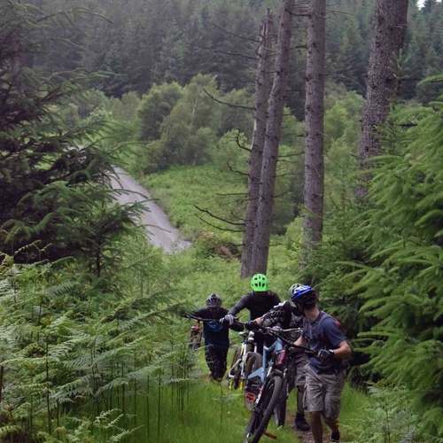 Mountain Biking