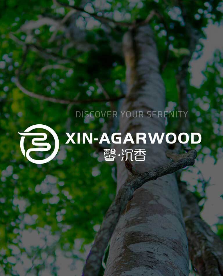 XIN AGARWOOD Incense Sticks Incense Burner Agarwood