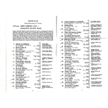 1969 Cottenham Fitzwilliam Point To Point Meeting (22/03/1969) Horse Racing Racecard