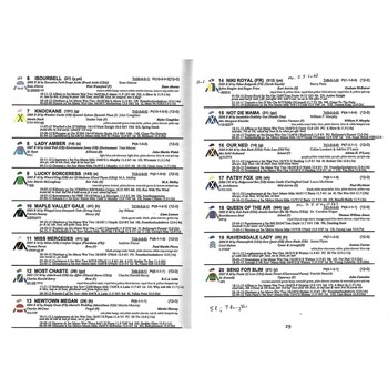 2012 Ratoath Louth Hunt Point to Point Meeting (09/12/2012) Horse Racing Racecard