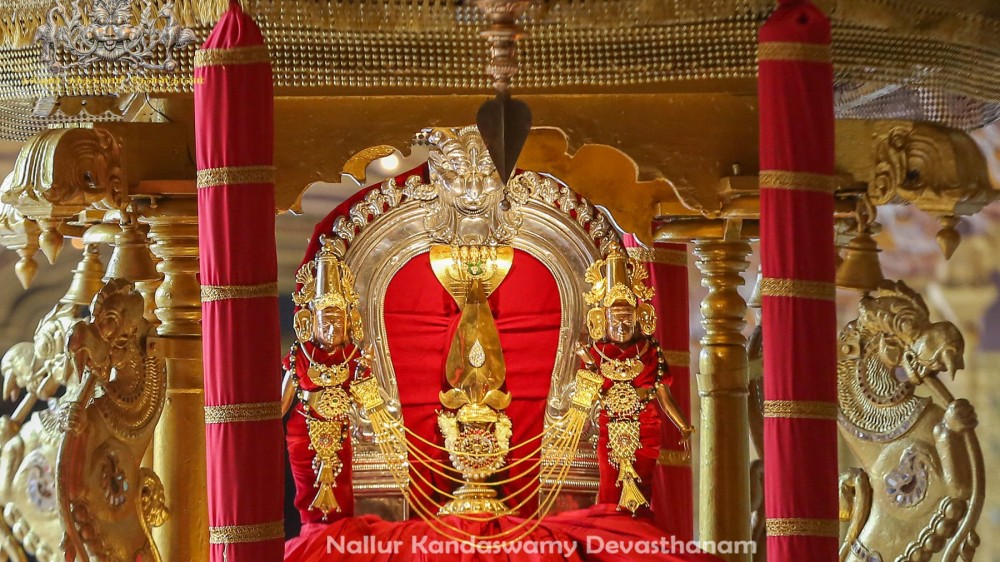 நல்லூர் கந்தசுவாமி  கோவில் தேர்த்திருவிழா