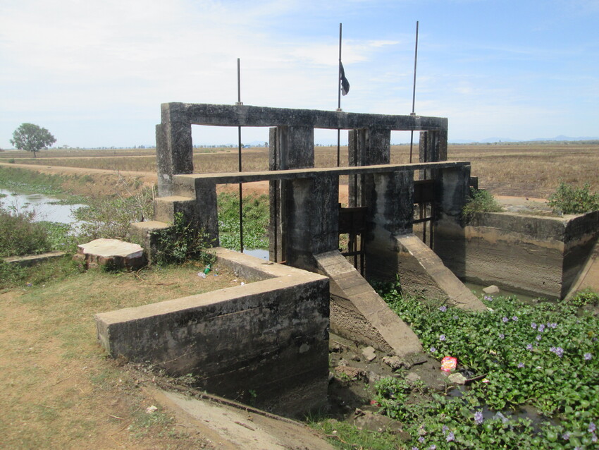 அம்பாறை மாவட்டத்தில் பெரும் போகம்