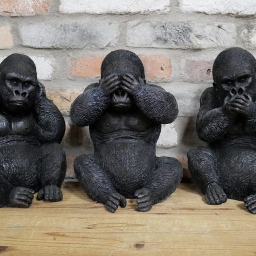 3 Wise