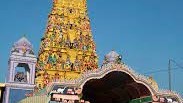 வருடாந்த மகோற்சவம்!