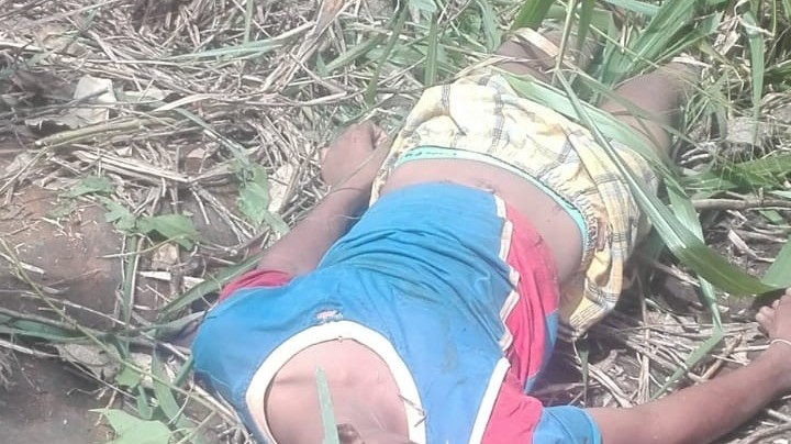விறகு பொறுக்கச் சென்ற சிறுவன் மரம் முறிந்ததால் மரணம்
