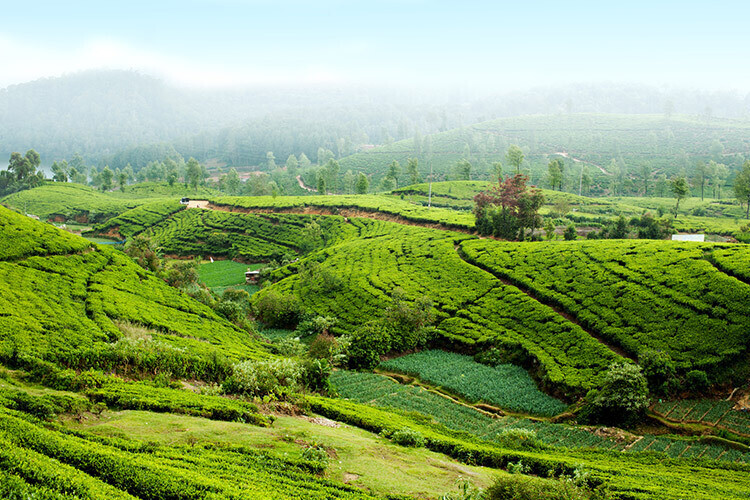 Sri Lanka