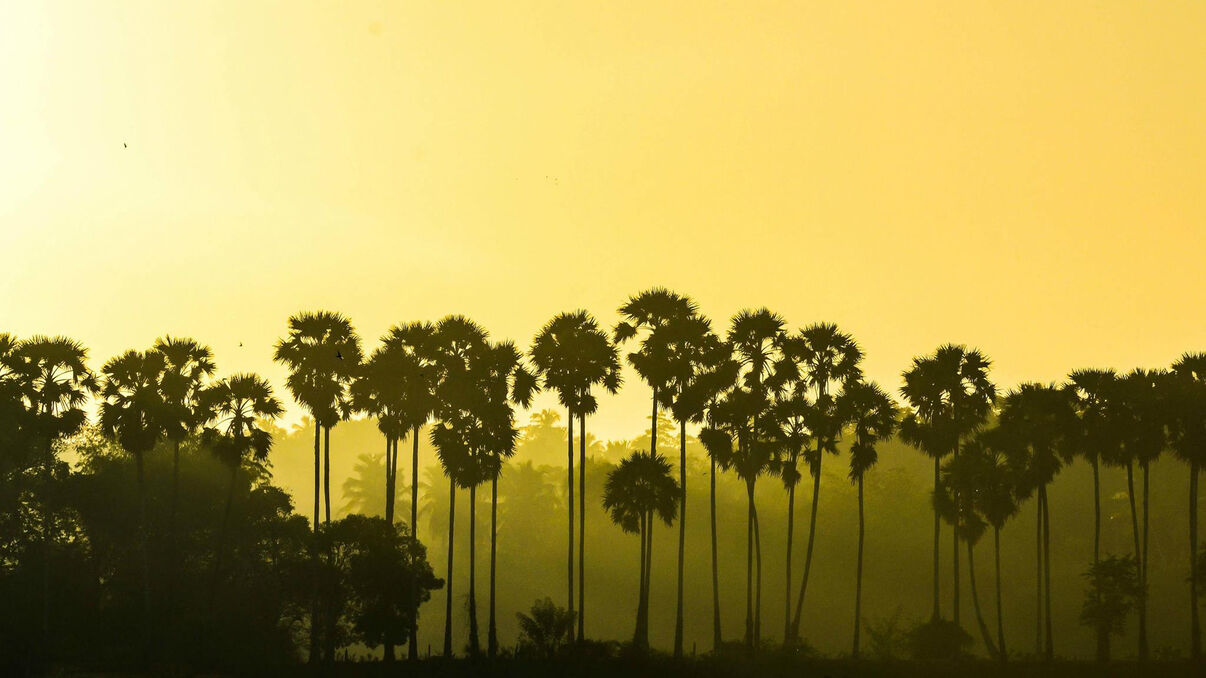 Yaalpaanam (Jaffna) Peninsula
