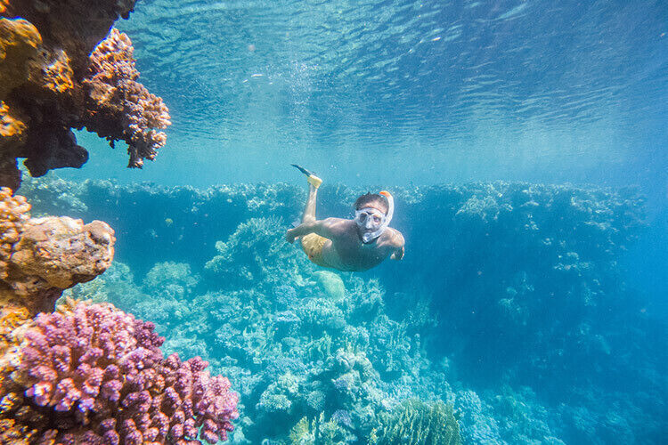 The Maldives