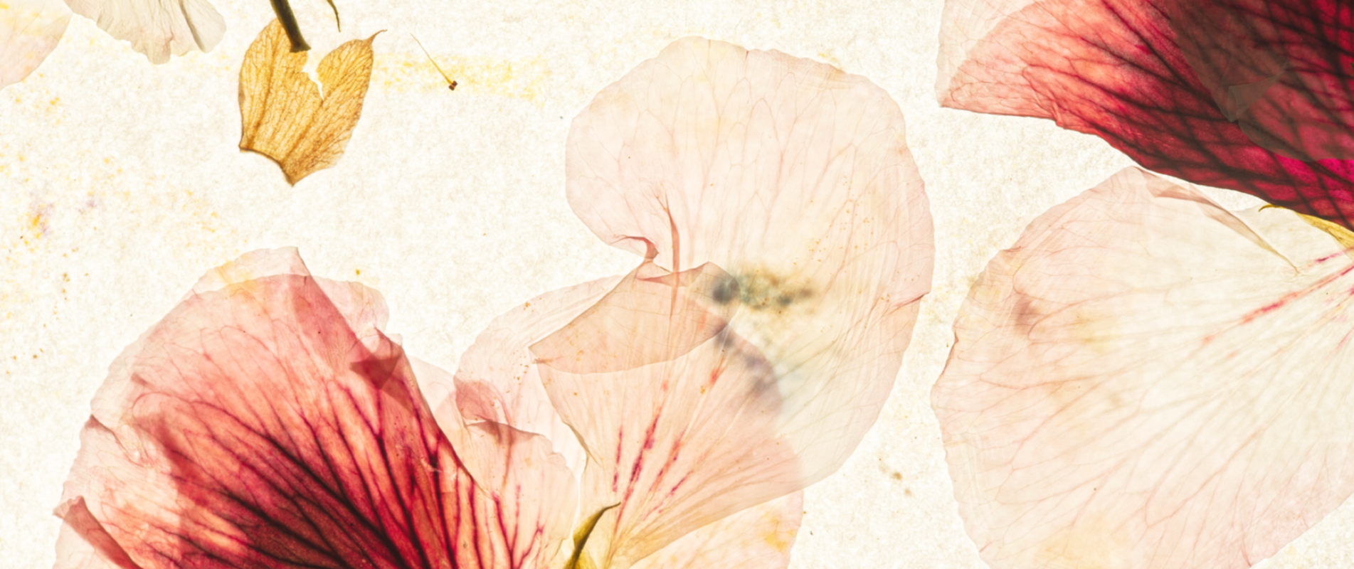 Riyabah offers luxury gift hampers across the UK. Effortless, curated gifting for birthdays, anniversaries & special moments—delivered to her door