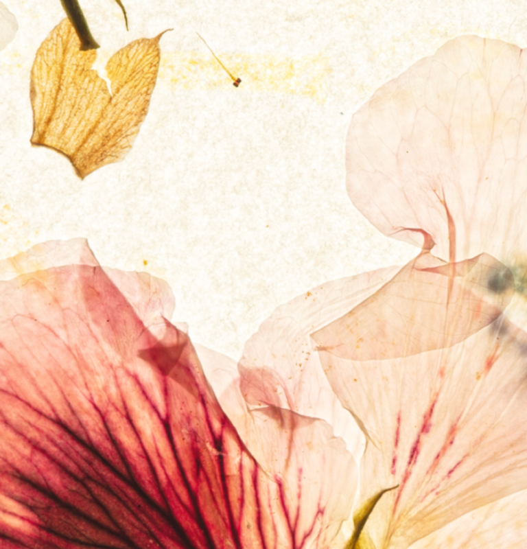 Riyabah offers luxury gift hampers across the UK. Effortless, curated gifting for birthdays, anniversaries & special moments—delivered to her door