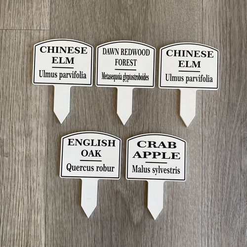 Bonsai Tree Tag