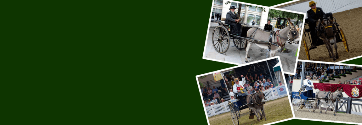 Carriage driving products