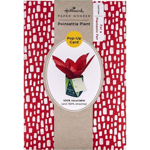 Hallmark Christmas Card - 3D Pop Up Poinsettia Plant