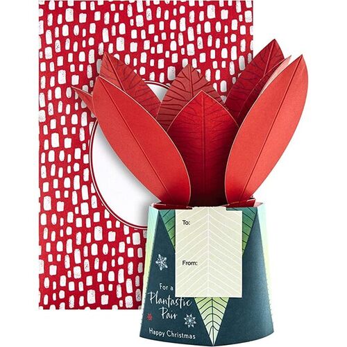 Hallmark Christmas Card - 3D Pop Up Poinsettia Plant