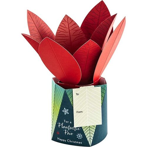 Hallmark Christmas Card - 3D Pop Up Poinsettia Plant