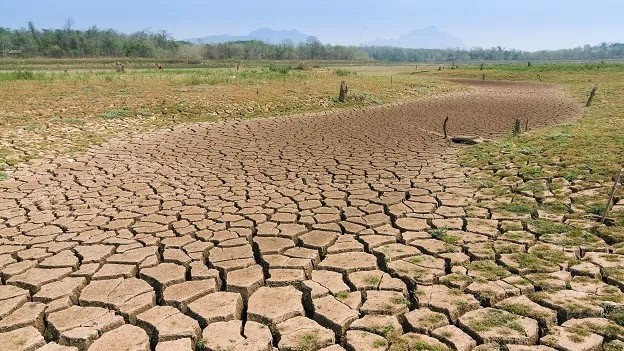 யாழ். மாவட்டத்தில் வறட்சி 22,044 குடும்பங்கள் பாதிப்பு!