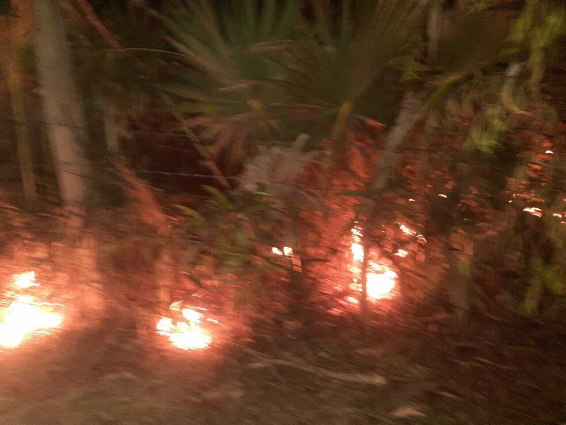 பலவகைச் செய்தித் துணுக்குகள்