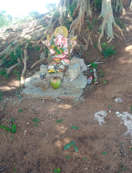 பலவகைச் செய்தித் துணுக்குகள்