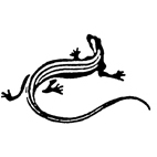 Lizard Rubber Stamp