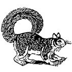 Squirrel Rubber Stamp
