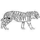 Tiger Rubber Stamp