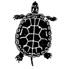 Tortoise Rubber Stamp