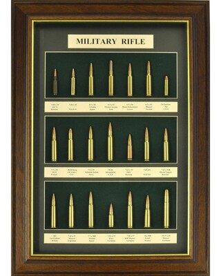 Military Rifle Display