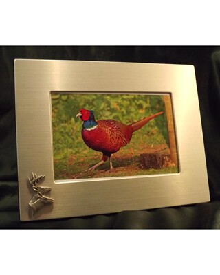 Medium image frame with small pewter Embellishment.