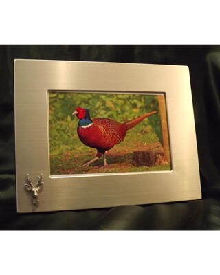 Medium image frame with small pewter Embellishment.