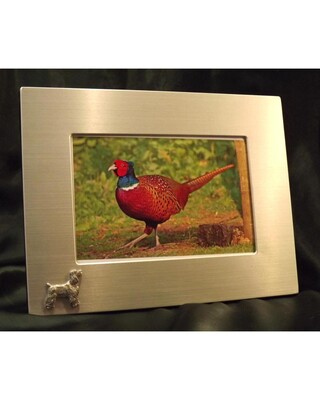 Medium image frame with small pewter Embellishment.