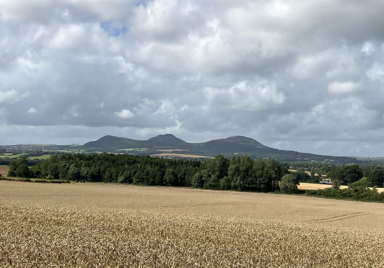 St Cuthbert’s Way & Lindisfarne Highlights Journeying Pilgrimage