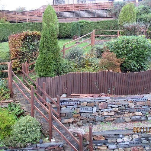 Coed y Fronallt 