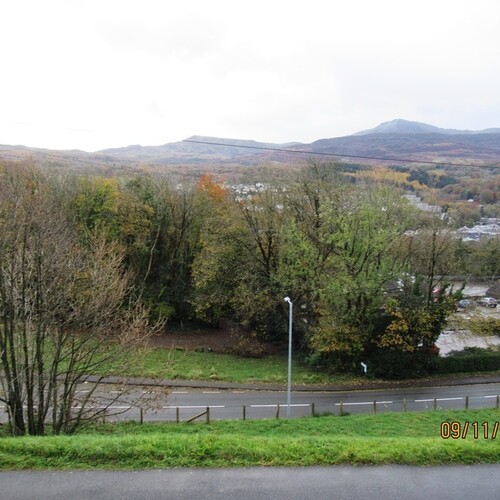 Coed y Fronallt 