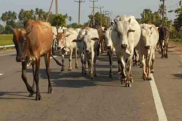 பலவகைச் செய்தித் துணுக்குகள்
