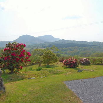 Tyddyn Llwyn   