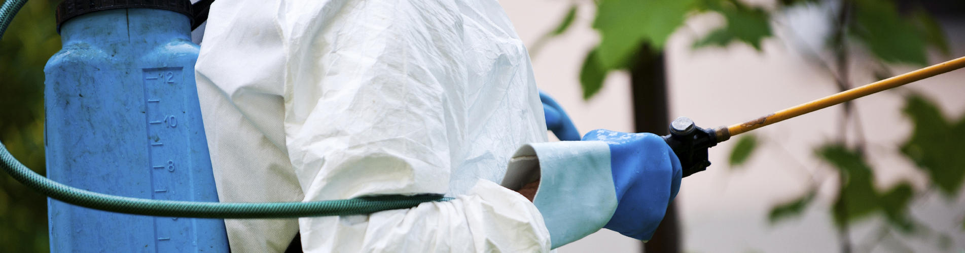 Pest Control Hertfordshire Pest control Enfield Local Pest control