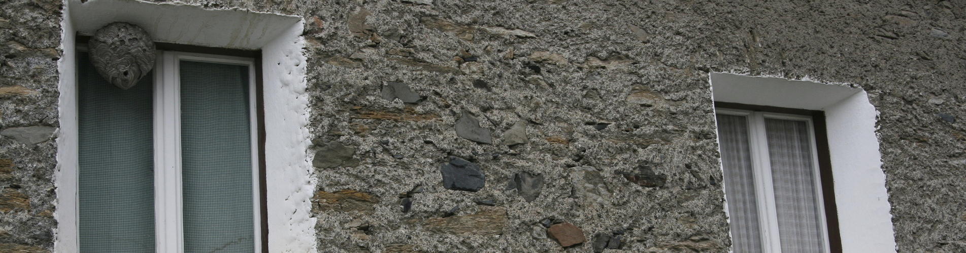 Pest Control Hertfordshire Pest control Enfield Local Pest control