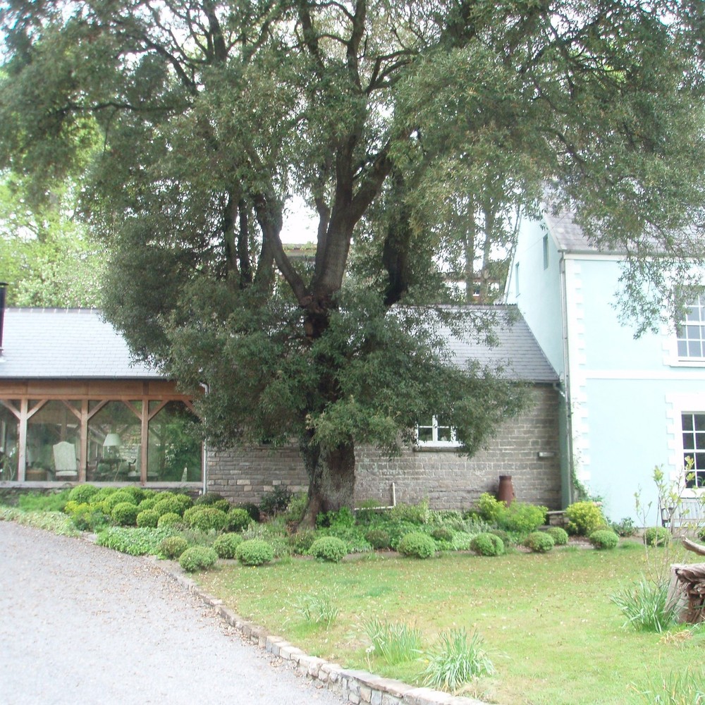 Historical house extension