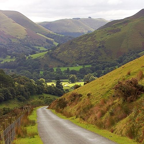 Bwythyn Cerddin 