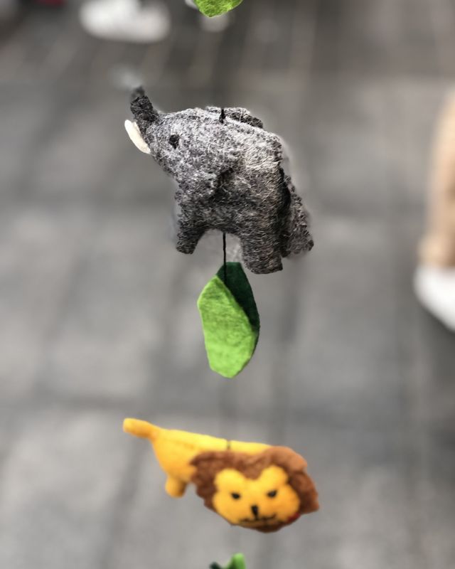 Safari Garland