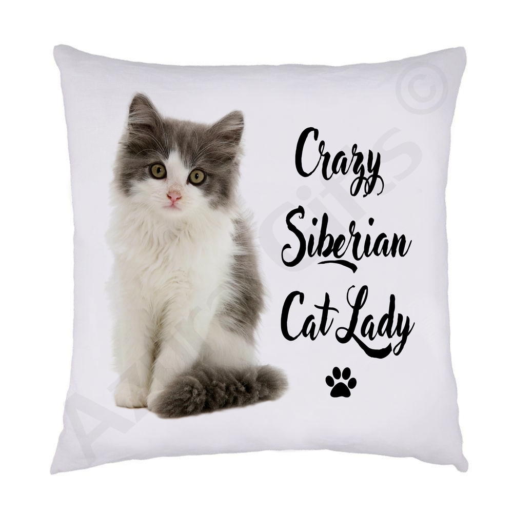 Cat Square