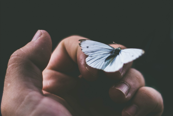 How to become Successful at Life and be your Own Success Story!