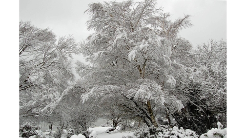 Snow at Hatchetts Pond1