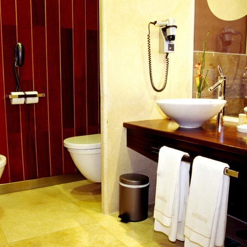 Gran Hotel Guadalpin Banus