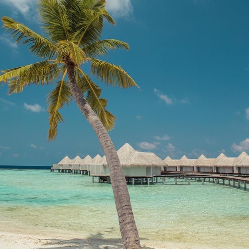 Drift Thelu Veliga Retreat