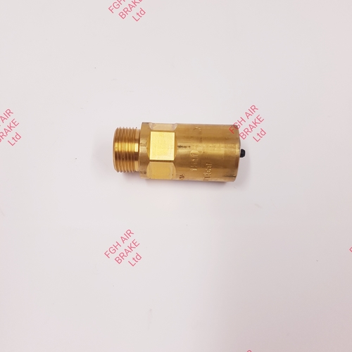 4346120040 Safety Valve