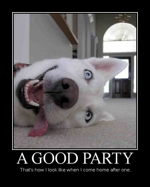 Funny new years party party attitude 13