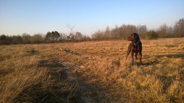 11034117 862834713763316 1537881110463351991 n