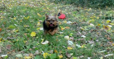 1800251 380848572069666 2016167451528545993 n