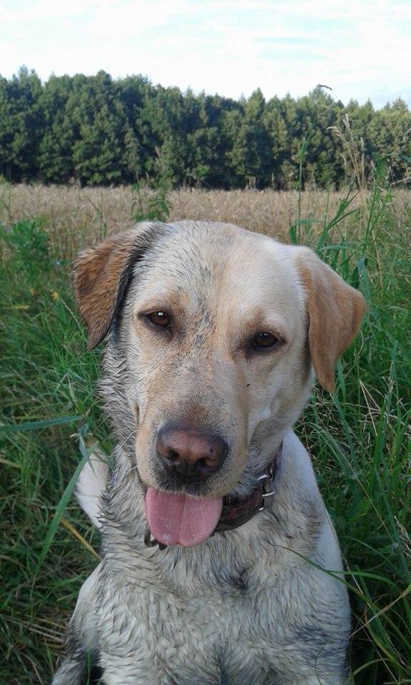 11667979 903770633013166 1320616210 n